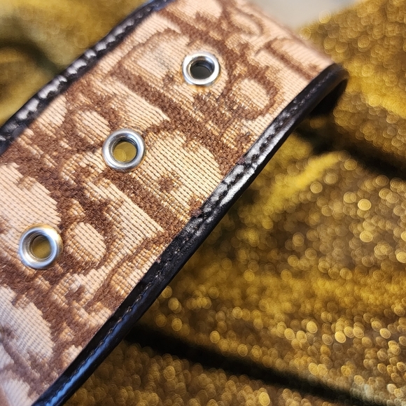 Christian Dior Oblique Trotter Belt main image 13